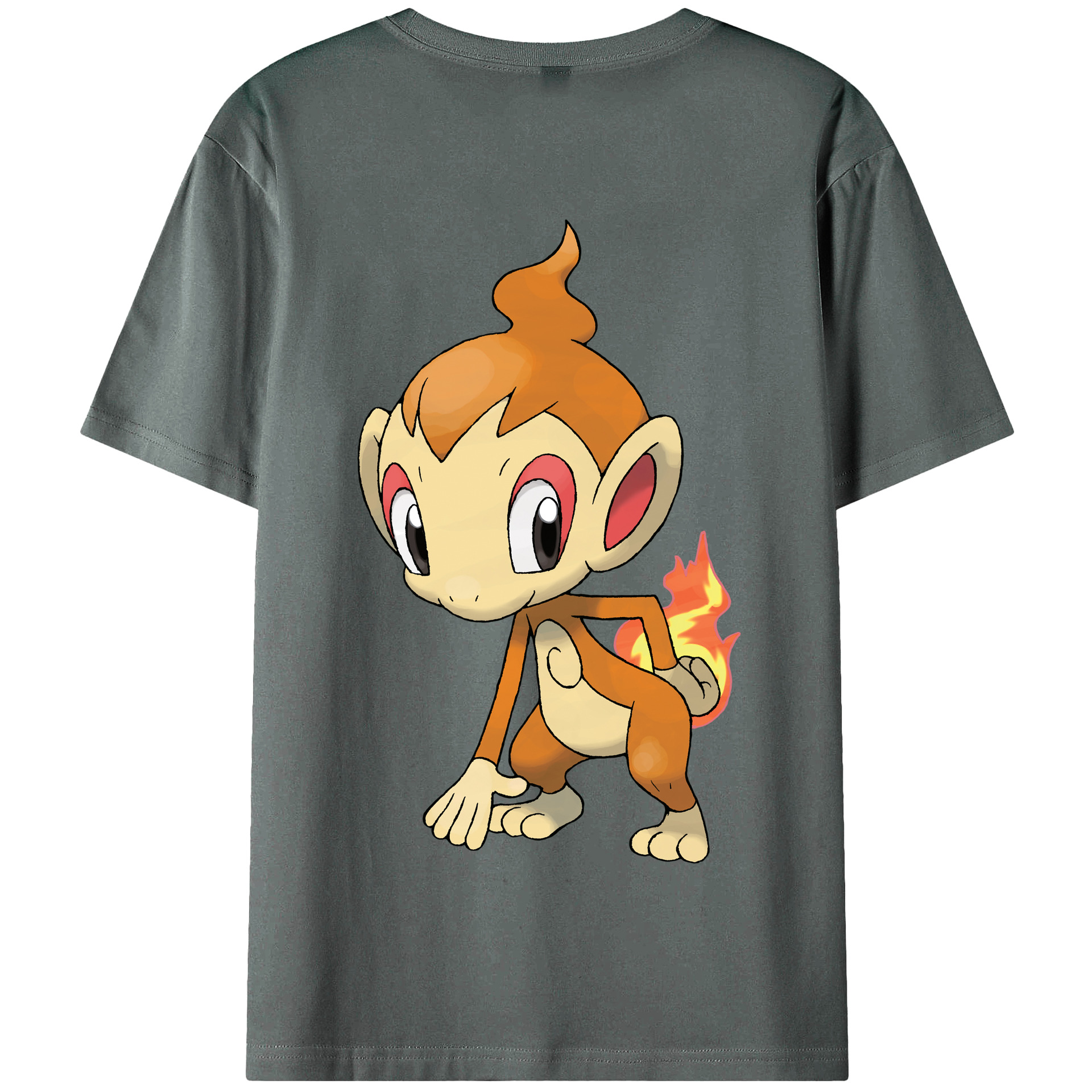 （画像用） ポケットモンスター Pokémon 綿100％半袖Tシャツ（背面プリント）
